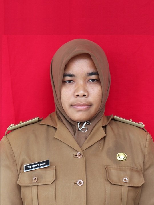 Tri Novasari, S.Kom