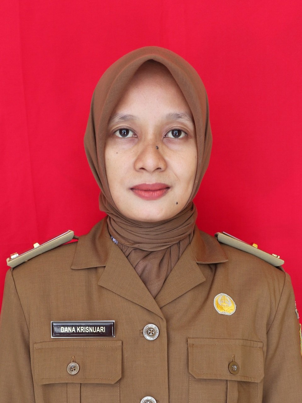 Dana Krisnuari, S.Kom